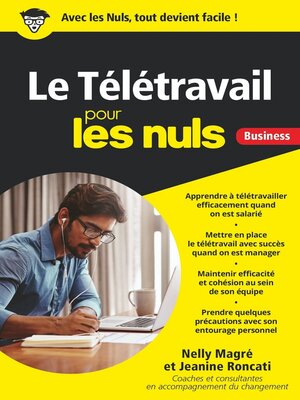 cover image of Le Télétravail pour les Nuls